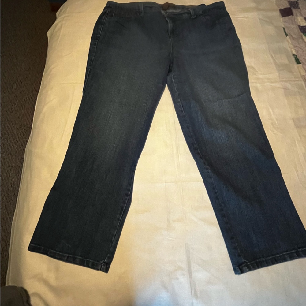 Gloria Vanderbilt denim jeans (Amanda) -16w